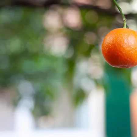 La Casa Dei Mandarini Apartment Levanto